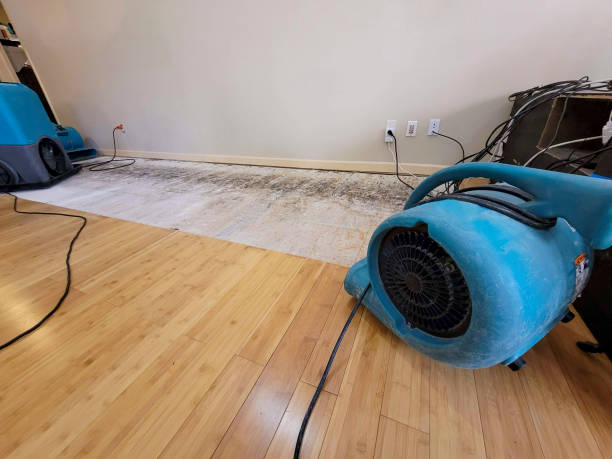 Professional Flood Damage Cleanup technician working in Lake Geneva, WI